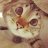 Roma_smile_247