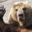 SoloBear