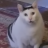 гвинчик