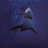 KillerShark