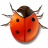 pilonog69